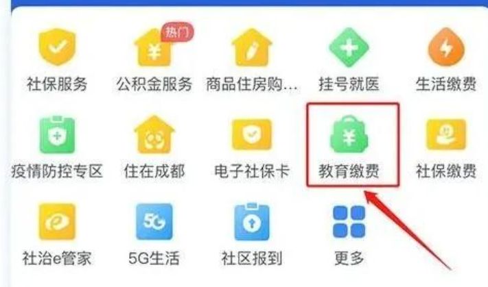 2023崇州中小学及幼儿园学费缴纳查询方式 入口