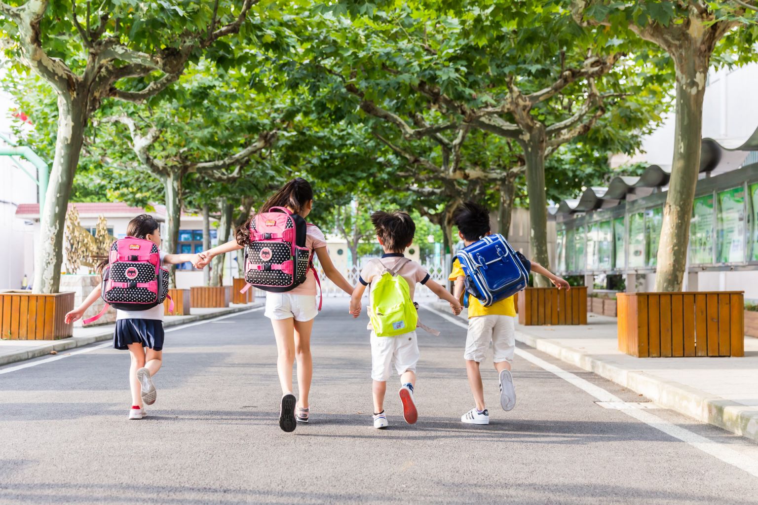 2024重庆北碚各小学招生简章汇总