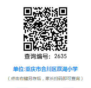 重庆市合川区濮湖小学2024级新生分班查询