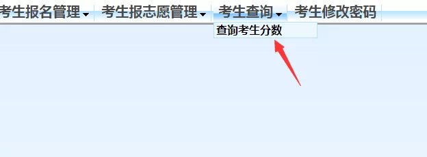 2022佛山中考查询方式