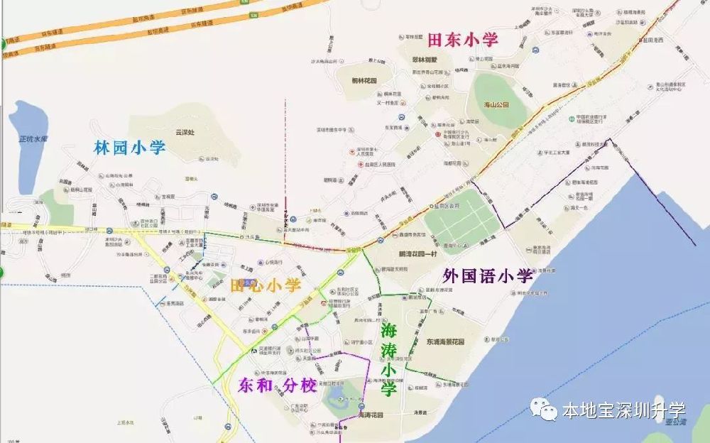 盐田区公布2020年学位申请政策提示 此前办的蓝本可用