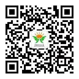 2020无锡东亭街道幼儿园户籍新生预报名通告